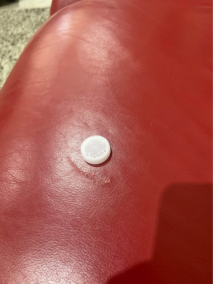 Red Leather Sofa