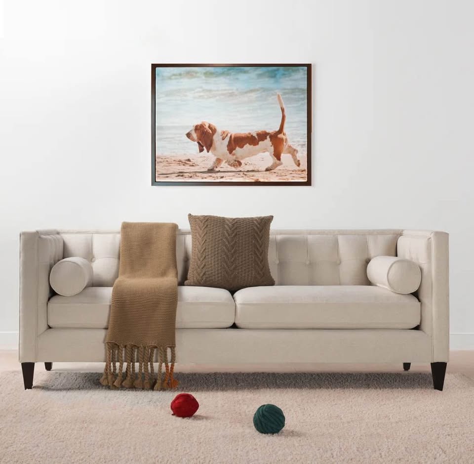 New Open Box Allia 84" Sofa