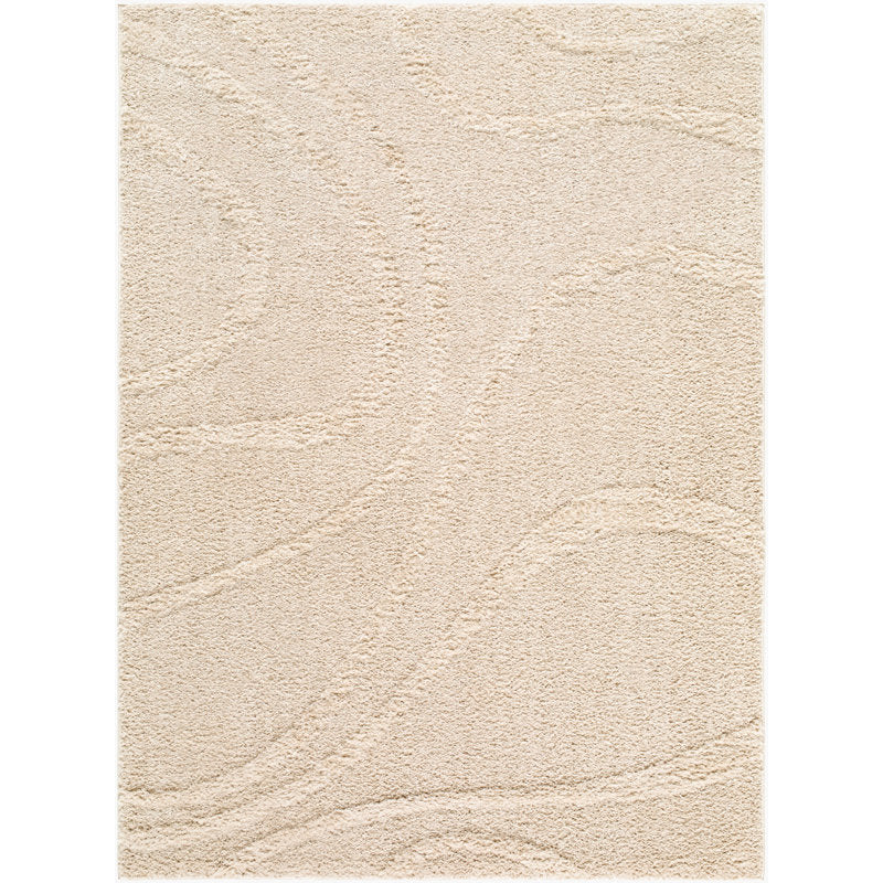New Surya Ailey Shag Area Rug – 9' x 12' Ivory – Retail $620 – Delivery Available